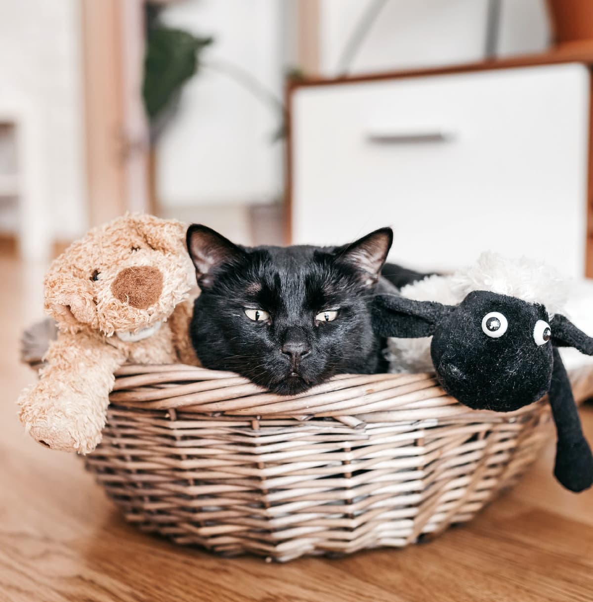 3D рендер 17